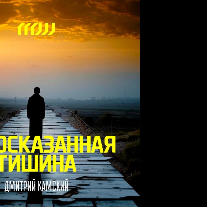 Дмитрий Камский - Недосказанная тишина
