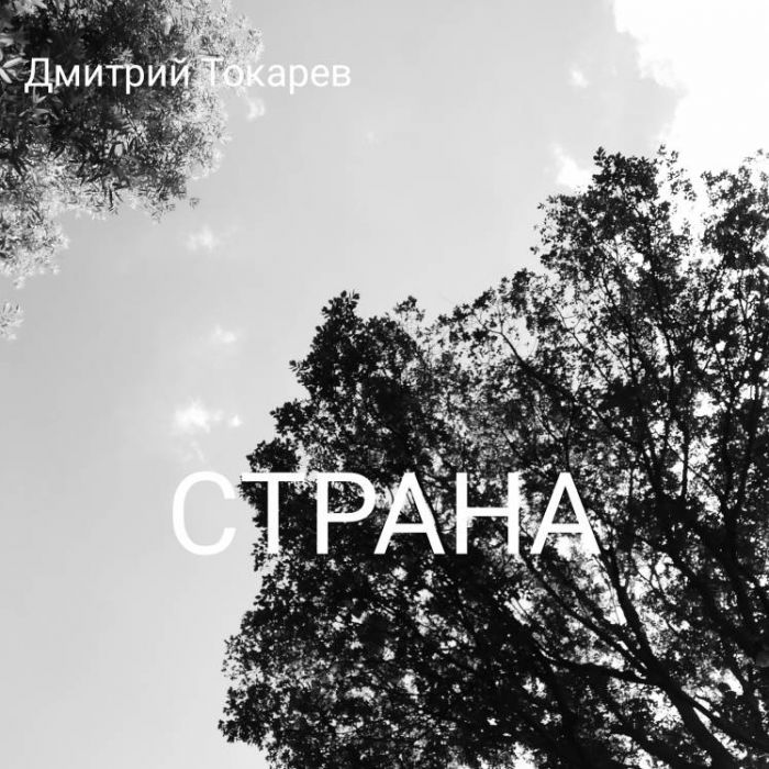 Дмитрий Токарев-Страна