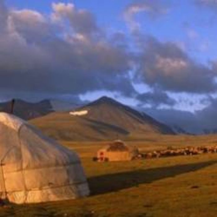 Эндорфин Orchestra- Монголия