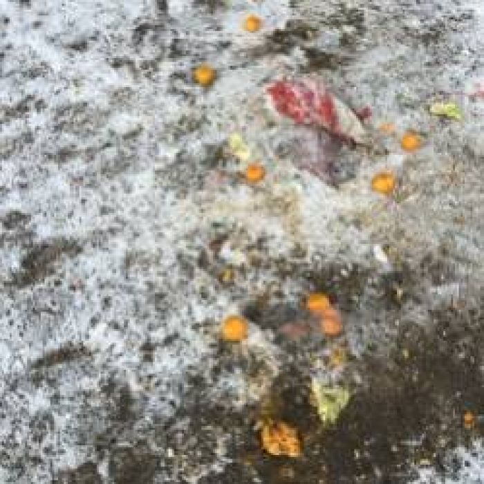 Эндорфин Orchestra- Январская feat Jeny Ja