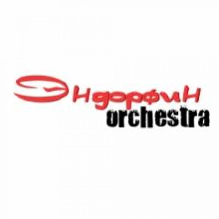 Эндорфин Orchestra- ЗИМА