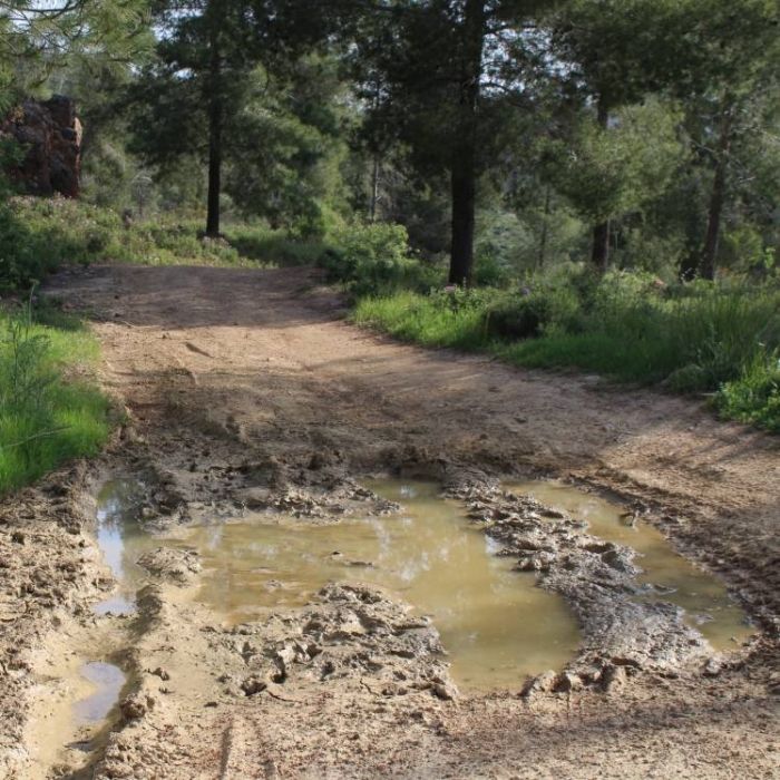 Гильгулим-Тень