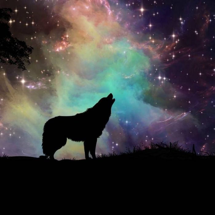 Годун Алексей-Night melody