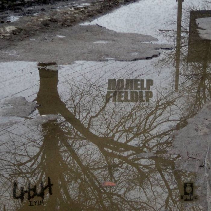 Ильин-Лужи-разводы