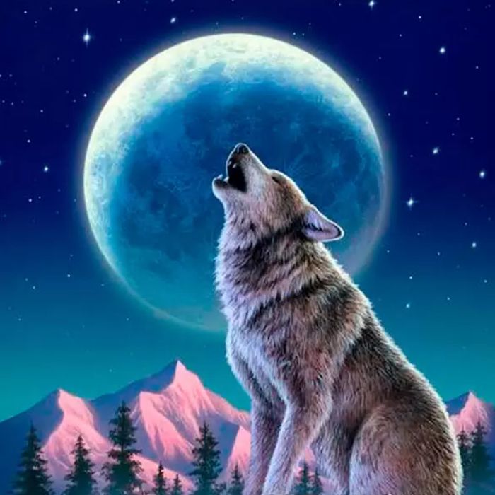 Константин Бурлаков - Волк