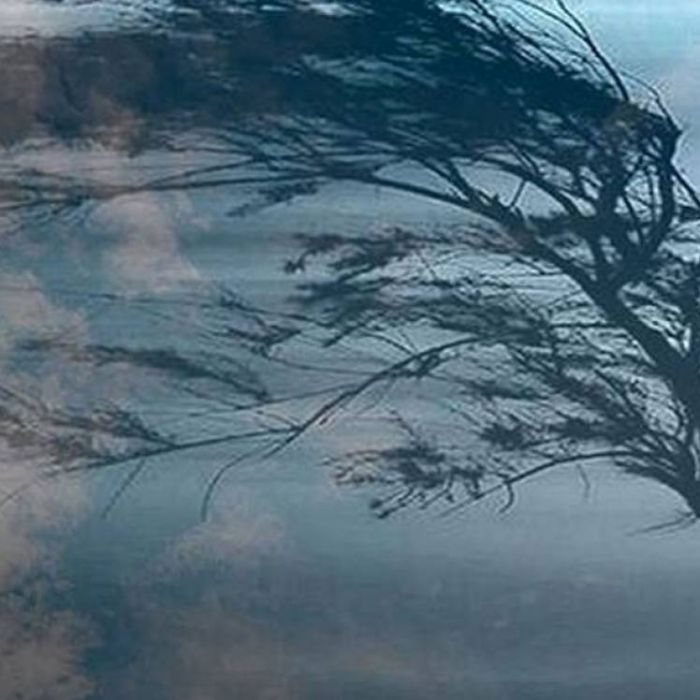 Козлов Александр Дурень-Рассвет