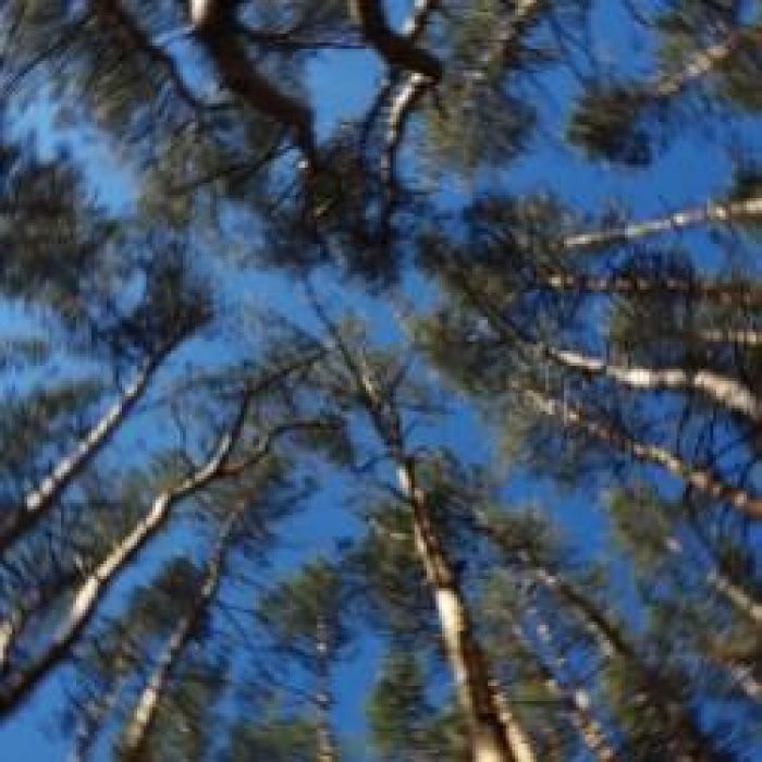 ЛёпычКсю-По дороге пыльной