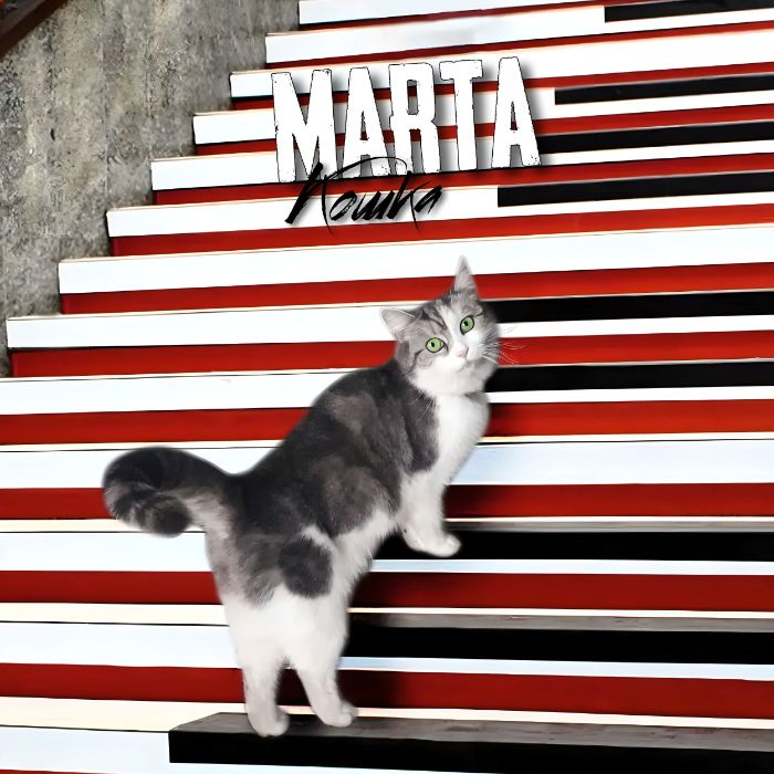 MARTA - КОШКА