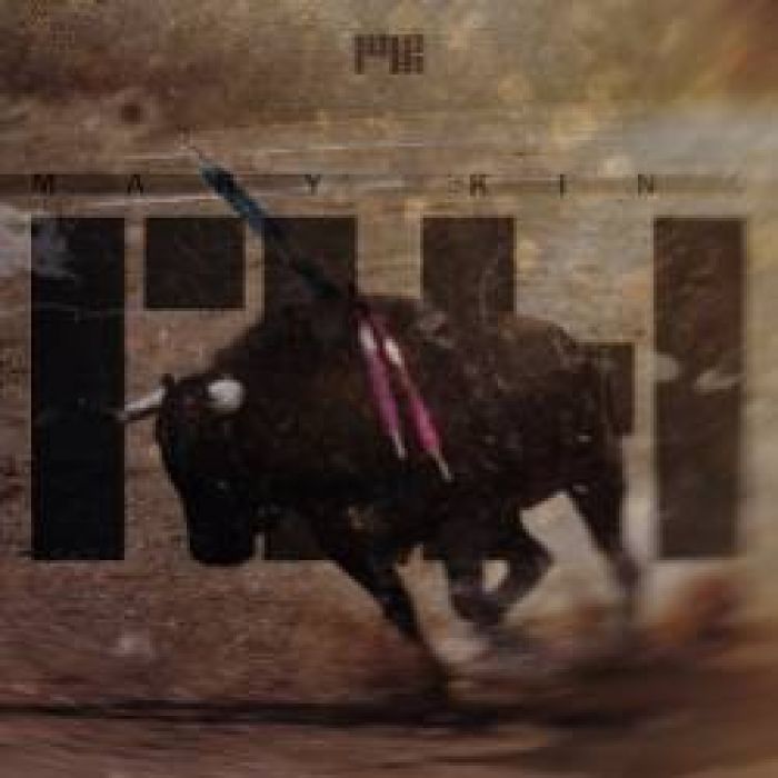 Mary King-Поющие в терновнике