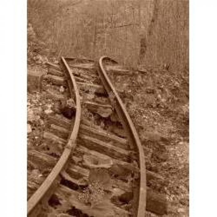 Олег Швыдкий - По дороге в никуда