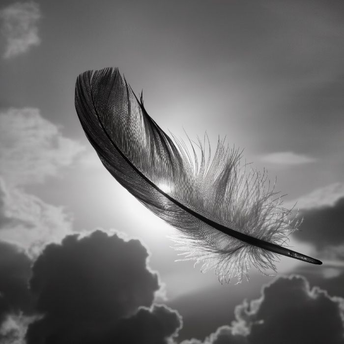 ОэСиКо - Птица