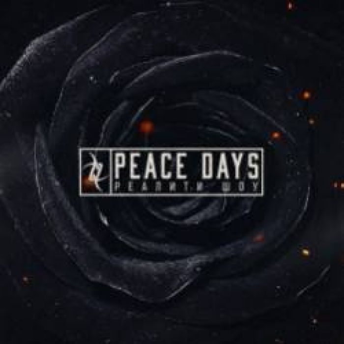 PEACE DAYS- Реалити Шоу 