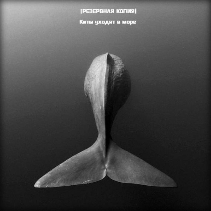 РЕЗЕРВНАЯ КОПИЯ-Киты уходят в море