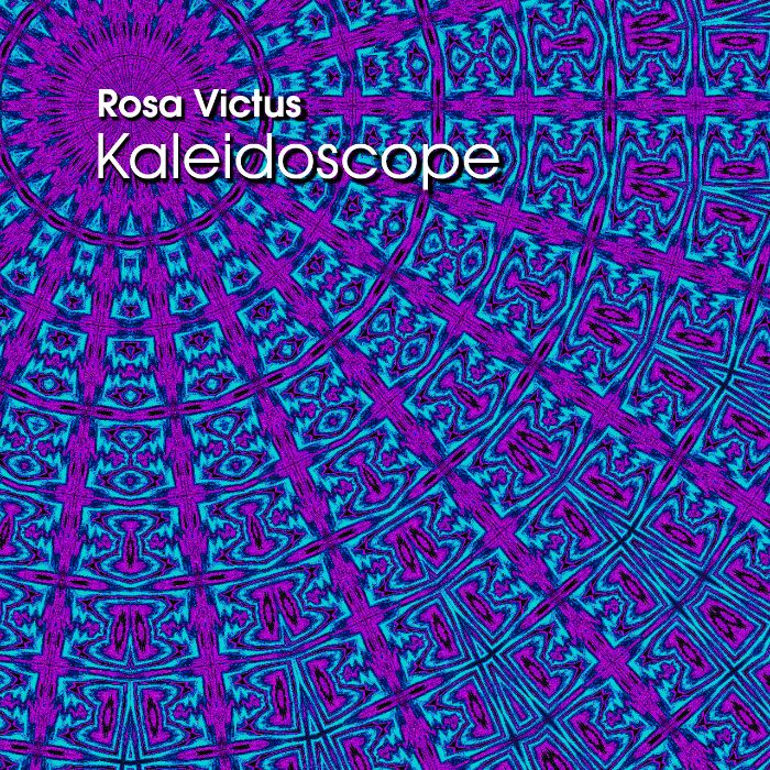 ROSA VICTUS - Find It