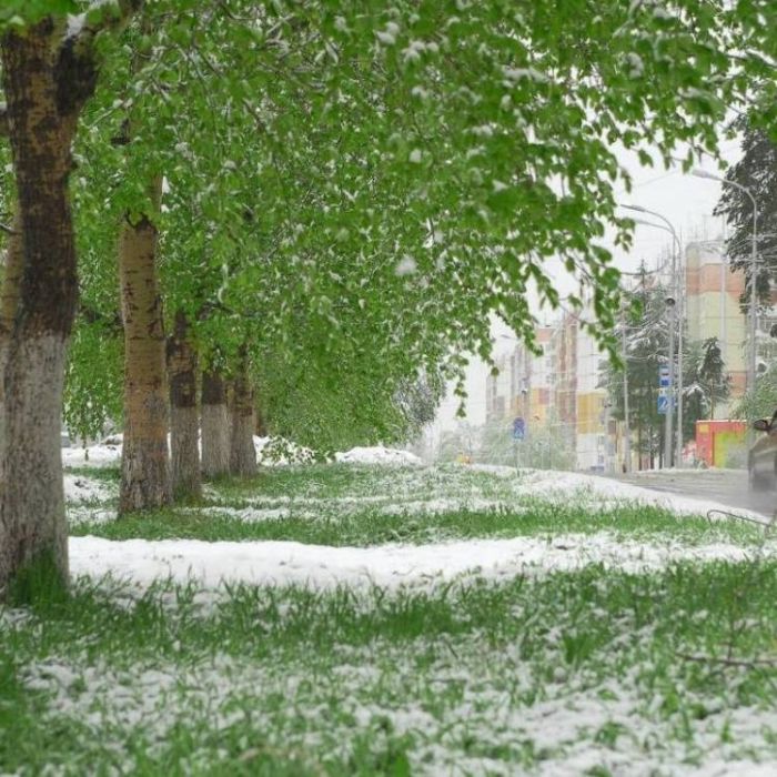 Rozalinda-Снежный сон