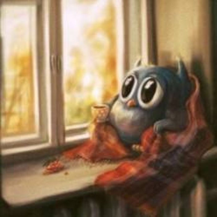 Сергей А Никитин — Девушки и старые романы