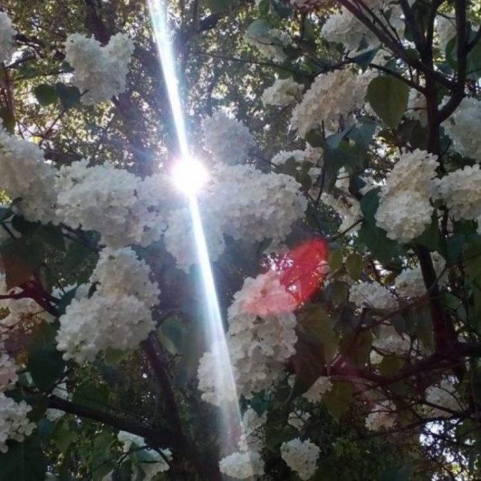 Сергей Мошков-Эх Ярилушка