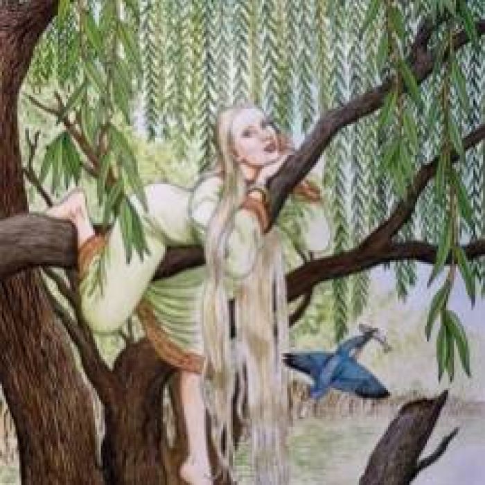 Сергей Мошков-Ивушка плакучая