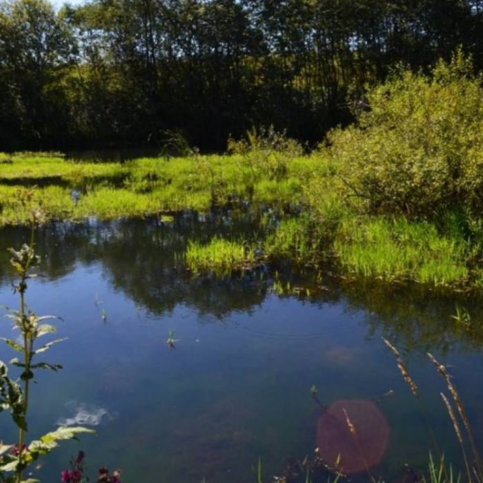 Сергей Мошков-Любовое сластье