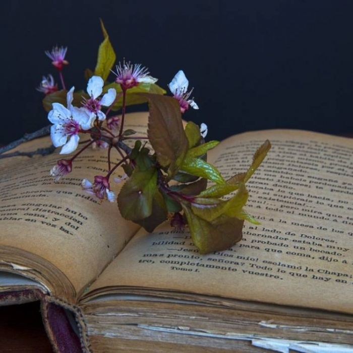 Сергей Мошков-Не доверяй своих дорог Стихи А Блока