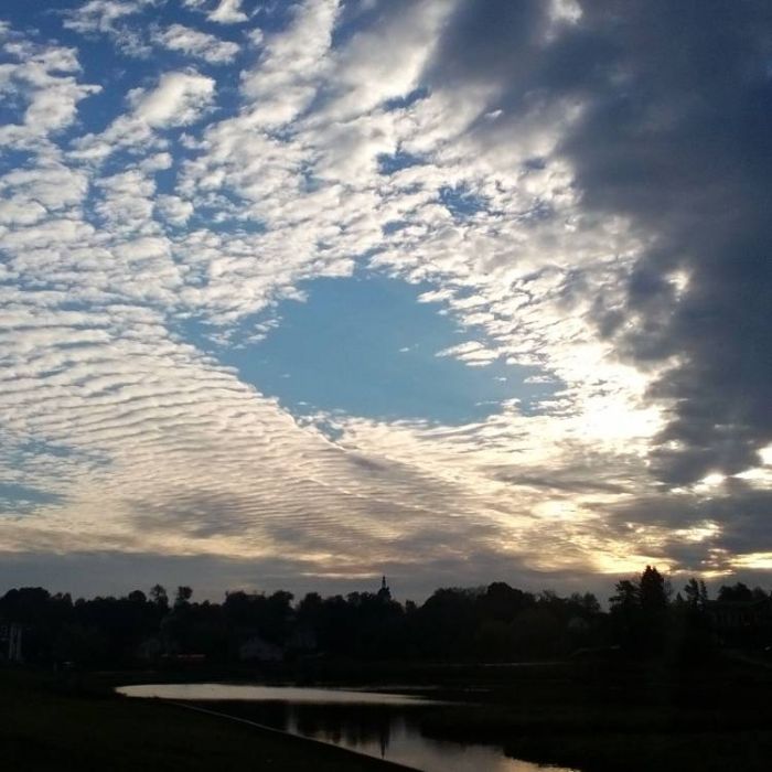 Сергей Мошков-Отпусти скакуна