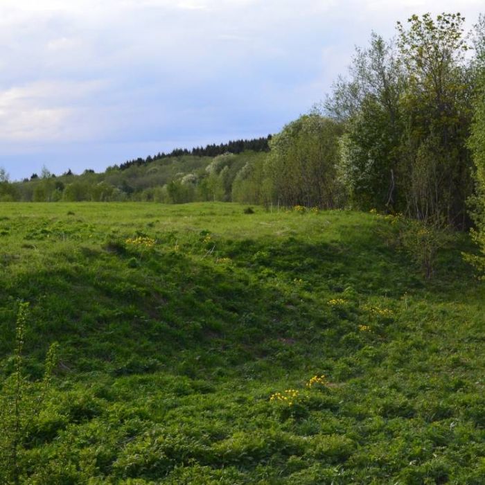 Сергей Мошков-Русь моя