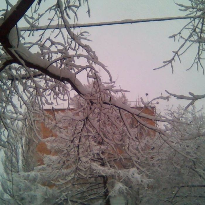 Сергей Мошков- Снежева