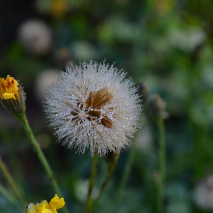 Сергей Мошков-Утрешняя кутерьма