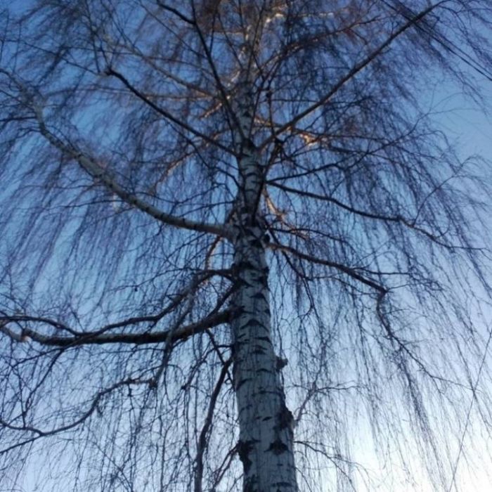 Сергей Мошков-Яр и Ла