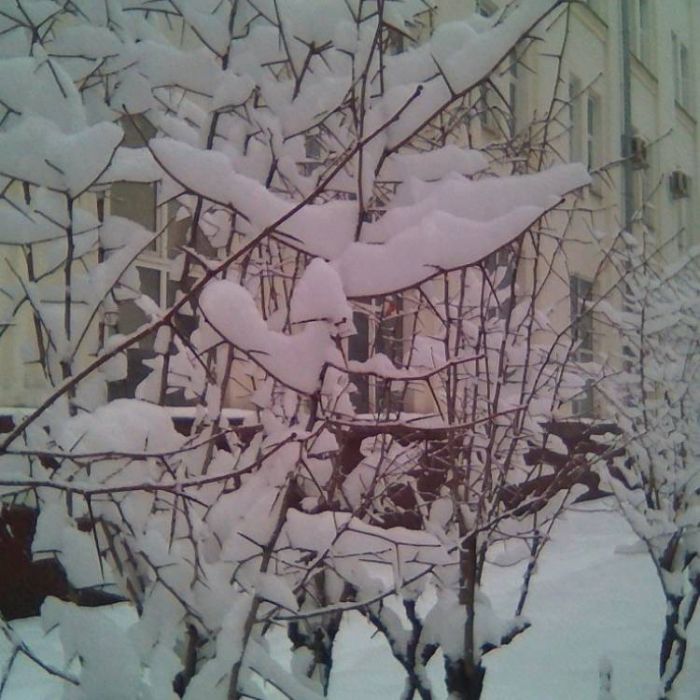 Сергей Мошков-Здравствуй Вьюга Здравствуй Снег