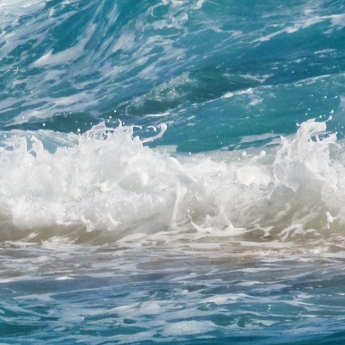 Сообщество Эгон Байков и друзья (СЭБИД)  - Сохрани любовь