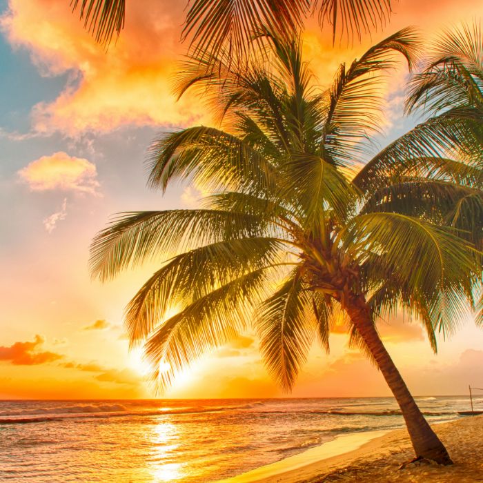 Сообщество Эгон Байков и друзья (СЭБИД)  - Соломоновы-е острова