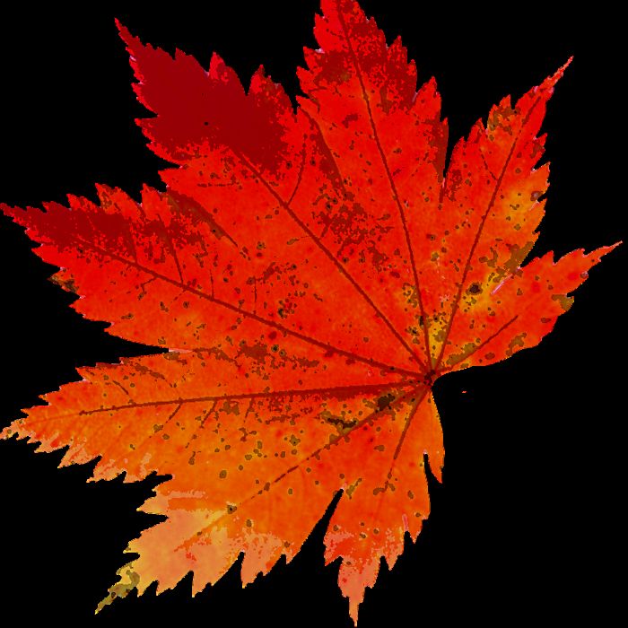 Сообщество Эгон Байков и друзья (СЭБИД)  - В День Рождения!