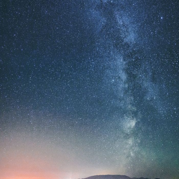 Сообщество Эгон Байков и друзья (СЭБИД) - Белый лотос