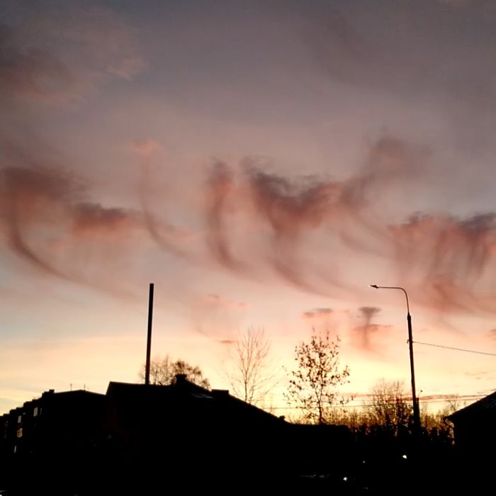 Сообщество Эгон Байков и друзья (СЭБИД) - Ненаглядная