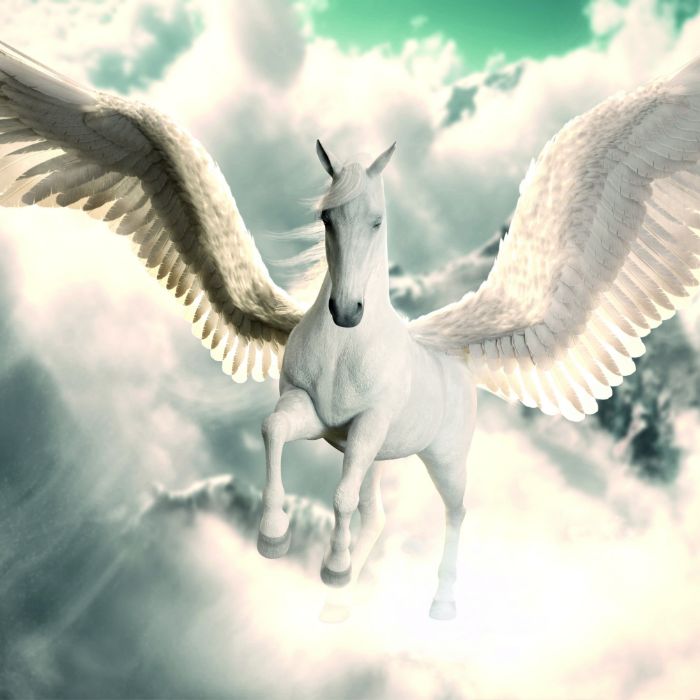 Сообщество Эгон Байков и друзья (СЭБИД) - Шоколадный торт