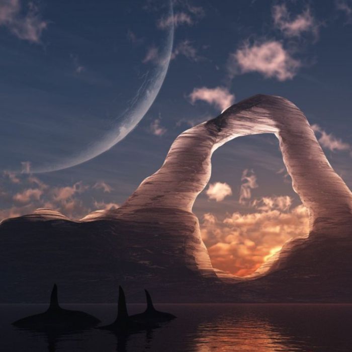 Сушкин В. - Вот я дал!