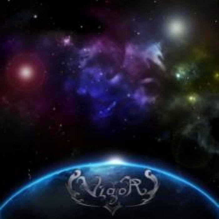 VIGOR-Отражение