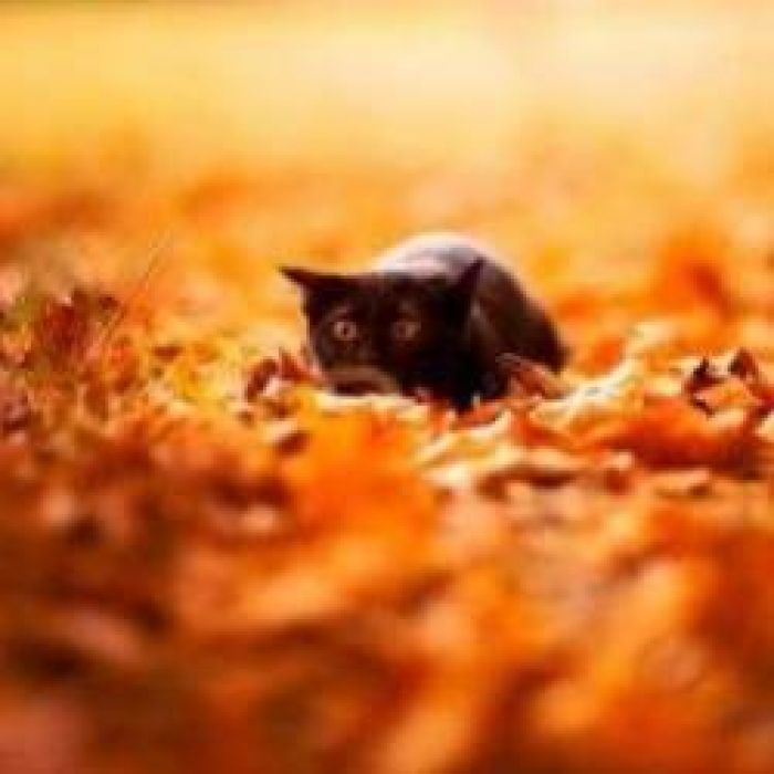 Юлия Ключарёва - Вернись