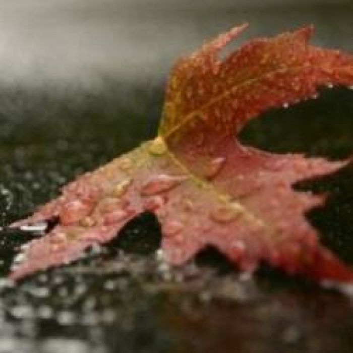 Юлия Ключарёва-Без тебя