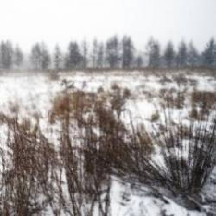 Юлия Ключарёва-Вьюга