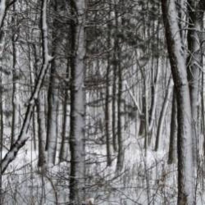 Юлия Ключарёва-Зимняя сказка