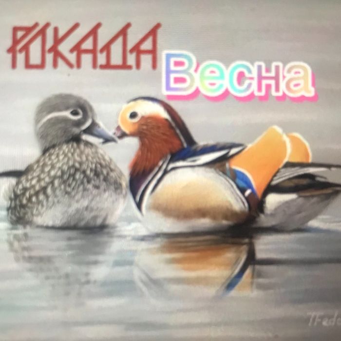 Рокада - Весна