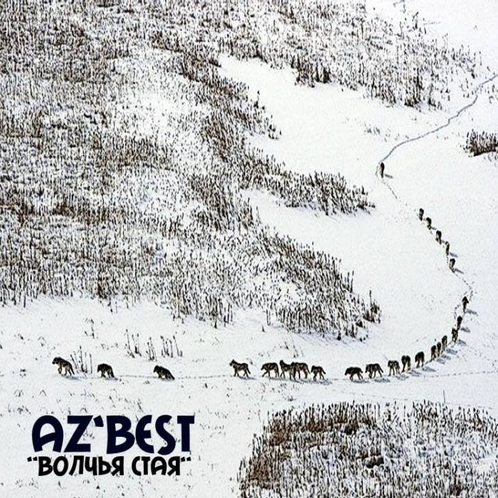 Azbest - Волки