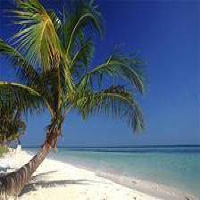 шутки мао - куба